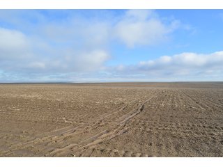 Tract 2 - LAND AUCTION - 1025+/- ACRES OFFERED IN 4 TRACTS IN GRANT COUNTY, WASHINGTON