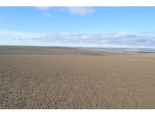 Tract 3 - LAND AUCTION - 1025+/- ACRES OFFERED IN 4 TRACTS IN GRANT COUNTY, WASHINGTON