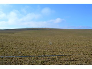 Tract 1 - LAND AUCTION - 1025+/- ACRES OFFERED IN 4 TRACTS IN GRANT COUNTY, WASHINGTON