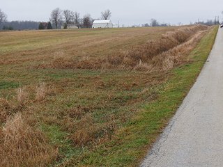 Property photo 5 - LAND AUCTION - 25+/- ACRES OFFERED IN 3 TRACTS IN HUNTINGTON COUNTY, INDIANA