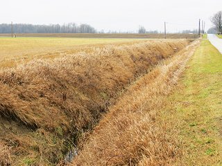 Property photo 7 - LAND AUCTION - 25+/- ACRES OFFERED IN 3 TRACTS IN HUNTINGTON COUNTY, INDIANA