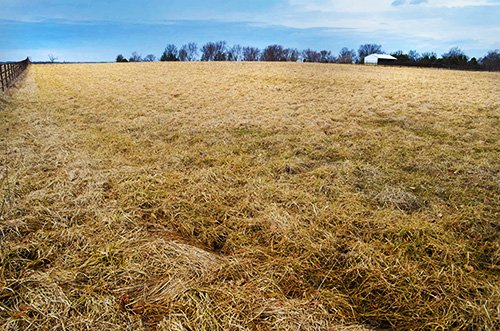 Property photo 38 - FARM EQUIPMENT & REAL ESTATE AUCTION IN ALLEN COUNTY, INDIANA