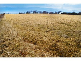 Property photo 38 - FARM EQUIPMENT & REAL ESTATE AUCTION IN ALLEN COUNTY, INDIANA