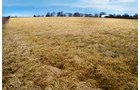 Property photo 38 - FARM EQUIPMENT & REAL ESTATE AUCTION IN ALLEN COUNTY, INDIANA