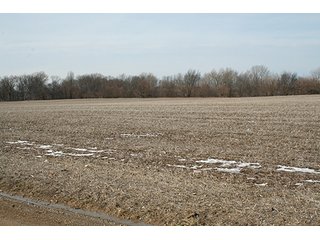 Property photo 21 - LAND & FARM EQUIPMENT AUCTION IN BRANCH COUNTY, MICHIGAN