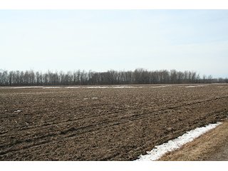Property photo 28 - LAND & FARM EQUIPMENT AUCTION IN BRANCH COUNTY, MICHIGAN