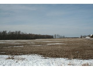 Property photo 29 - LAND & FARM EQUIPMENT AUCTION IN BRANCH COUNTY, MICHIGAN