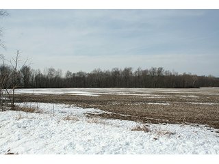 Property photo 30 - LAND & FARM EQUIPMENT AUCTION IN BRANCH COUNTY, MICHIGAN