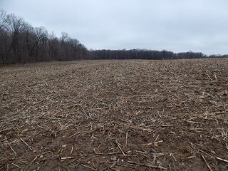 Property photo 51 - REAL ESTATE AUCTION - 345+/- ACRES OFFERED IN 13 TRACTS IN LAPORTE COUNTY, INDIANA
