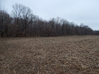 Property photo 53 - REAL ESTATE AUCTION - 345+/- ACRES OFFERED IN 13 TRACTS IN LAPORTE COUNTY, INDIANA