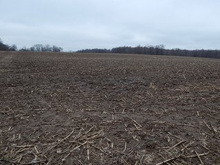 Property photo 76 - REAL ESTATE AUCTION - 345+/- ACRES OFFERED IN 13 TRACTS IN LAPORTE COUNTY, INDIANA