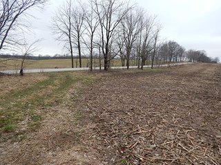 Property photo 15 - REAL ESTATE AUCTION - 345+/- ACRES OFFERED IN 13 TRACTS IN LAPORTE COUNTY, INDIANA