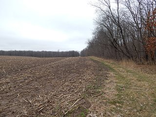 Property photo 77 - REAL ESTATE AUCTION - 345+/- ACRES OFFERED IN 13 TRACTS IN LAPORTE COUNTY, INDIANA