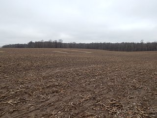 Property photo 82 - REAL ESTATE AUCTION - 345+/- ACRES OFFERED IN 13 TRACTS IN LAPORTE COUNTY, INDIANA