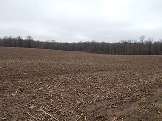 Property photo 57 - REAL ESTATE AUCTION - 345+/- ACRES OFFERED IN 13 TRACTS IN LAPORTE COUNTY, INDIANA