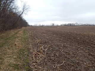 Property photo 80 - REAL ESTATE AUCTION - 345+/- ACRES OFFERED IN 13 TRACTS IN LAPORTE COUNTY, INDIANA