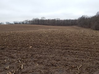 Property photo 38 - REAL ESTATE AUCTION - 345+/- ACRES OFFERED IN 13 TRACTS IN LAPORTE COUNTY, INDIANA