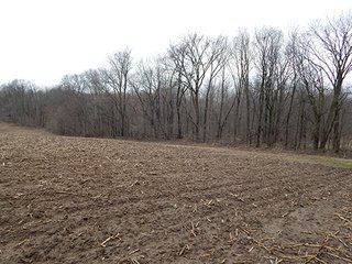 Property photo 21 - REAL ESTATE AUCTION - 345+/- ACRES OFFERED IN 13 TRACTS IN LAPORTE COUNTY, INDIANA