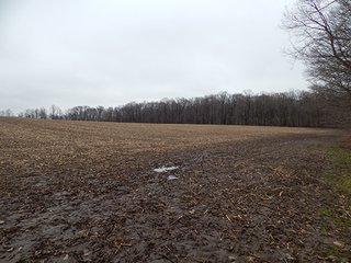 Property photo 79 - REAL ESTATE AUCTION - 345+/- ACRES OFFERED IN 13 TRACTS IN LAPORTE COUNTY, INDIANA
