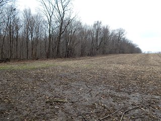 Property photo 19 - REAL ESTATE AUCTION - 345+/- ACRES OFFERED IN 13 TRACTS IN LAPORTE COUNTY, INDIANA