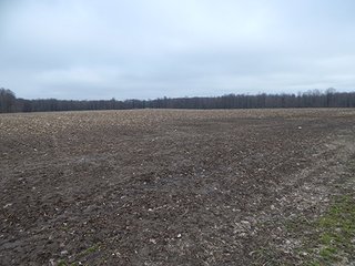 Property photo 2 - REAL ESTATE AUCTION - 345+/- ACRES OFFERED IN 13 TRACTS IN LAPORTE COUNTY, INDIANA