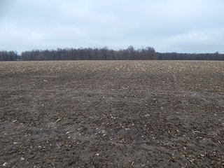 Property photo 31 - REAL ESTATE AUCTION - 345+/- ACRES OFFERED IN 13 TRACTS IN LAPORTE COUNTY, INDIANA