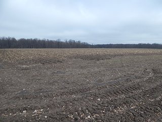 Property photo 42 - REAL ESTATE AUCTION - 345+/- ACRES OFFERED IN 13 TRACTS IN LAPORTE COUNTY, INDIANA