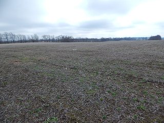 Property photo 7 - REAL ESTATE AUCTION - 345+/- ACRES OFFERED IN 13 TRACTS IN LAPORTE COUNTY, INDIANA