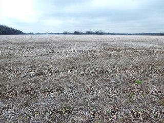 Property photo 44 - REAL ESTATE AUCTION - 345+/- ACRES OFFERED IN 13 TRACTS IN LAPORTE COUNTY, INDIANA