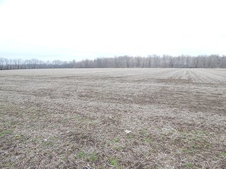 Property photo 43 - REAL ESTATE AUCTION - 345+/- ACRES OFFERED IN 13 TRACTS IN LAPORTE COUNTY, INDIANA