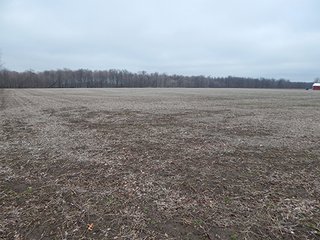 Property photo 40 - REAL ESTATE AUCTION - 345+/- ACRES OFFERED IN 13 TRACTS IN LAPORTE COUNTY, INDIANA