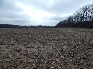 Property photo 74 - REAL ESTATE AUCTION - 345+/- ACRES OFFERED IN 13 TRACTS IN LAPORTE COUNTY, INDIANA