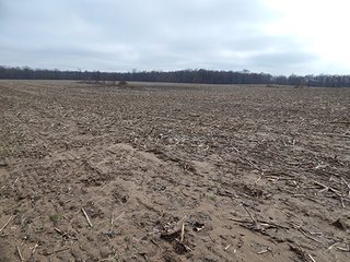 Property photo 10 - REAL ESTATE AUCTION - 345+/- ACRES OFFERED IN 13 TRACTS IN LAPORTE COUNTY, INDIANA