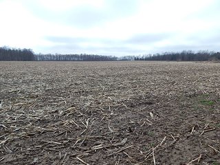 Property photo 41 - REAL ESTATE AUCTION - 345+/- ACRES OFFERED IN 13 TRACTS IN LAPORTE COUNTY, INDIANA