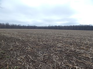 Property photo 47 - REAL ESTATE AUCTION - 345+/- ACRES OFFERED IN 13 TRACTS IN LAPORTE COUNTY, INDIANA