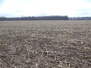 Property photo 18 - REAL ESTATE AUCTION - 345+/- ACRES OFFERED IN 13 TRACTS IN LAPORTE COUNTY, INDIANA
