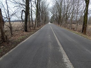 Property photo 67 - REAL ESTATE AUCTION - 345+/- ACRES OFFERED IN 13 TRACTS IN LAPORTE COUNTY, INDIANA