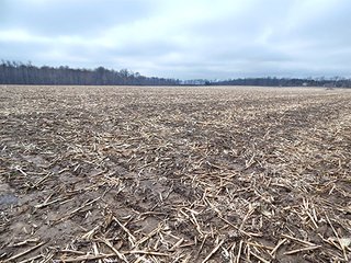 Property photo 63 - REAL ESTATE AUCTION - 345+/- ACRES OFFERED IN 13 TRACTS IN LAPORTE COUNTY, INDIANA