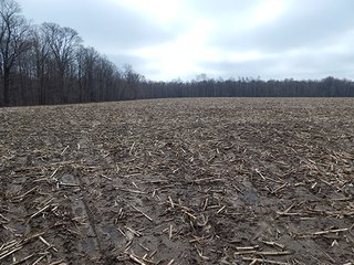 Property photo 46 - REAL ESTATE AUCTION - 345+/- ACRES OFFERED IN 13 TRACTS IN LAPORTE COUNTY, INDIANA
