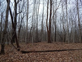 Property photo 58 - REAL ESTATE AUCTION - 345+/- ACRES OFFERED IN 13 TRACTS IN LAPORTE COUNTY, INDIANA