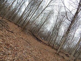 Property photo 34 - REAL ESTATE AUCTION - 345+/- ACRES OFFERED IN 13 TRACTS IN LAPORTE COUNTY, INDIANA