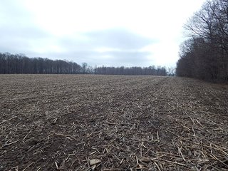 Property photo 5 - REAL ESTATE AUCTION - 345+/- ACRES OFFERED IN 13 TRACTS IN LAPORTE COUNTY, INDIANA