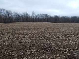Property photo 28 - REAL ESTATE AUCTION - 345+/- ACRES OFFERED IN 13 TRACTS IN LAPORTE COUNTY, INDIANA