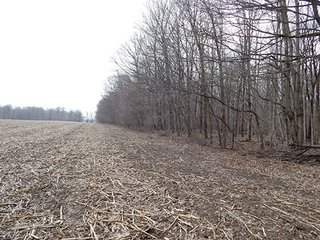 Property photo 14 - REAL ESTATE AUCTION - 345+/- ACRES OFFERED IN 13 TRACTS IN LAPORTE COUNTY, INDIANA