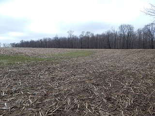 Property photo 33 - REAL ESTATE AUCTION - 345+/- ACRES OFFERED IN 13 TRACTS IN LAPORTE COUNTY, INDIANA