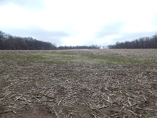 Property photo 35 - REAL ESTATE AUCTION - 345+/- ACRES OFFERED IN 13 TRACTS IN LAPORTE COUNTY, INDIANA
