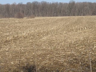 Property photo 65 - REAL ESTATE AUCTION - 345+/- ACRES OFFERED IN 13 TRACTS IN LAPORTE COUNTY, INDIANA