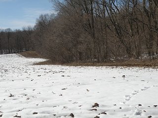 Property photo 32 - REAL ESTATE AUCTION - 345+/- ACRES OFFERED IN 13 TRACTS IN LAPORTE COUNTY, INDIANA