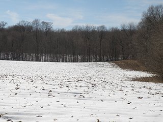 Property photo 12 - REAL ESTATE AUCTION - 345+/- ACRES OFFERED IN 13 TRACTS IN LAPORTE COUNTY, INDIANA