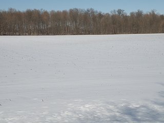 Property photo 22 - REAL ESTATE AUCTION - 345+/- ACRES OFFERED IN 13 TRACTS IN LAPORTE COUNTY, INDIANA